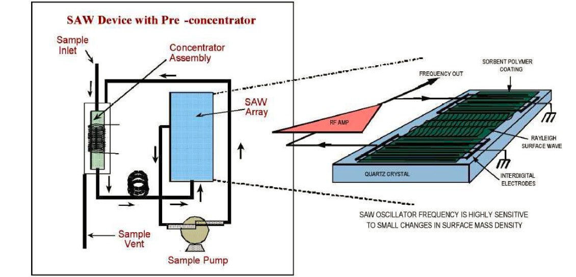 Sutface Acoustic Wave Sensing Technology